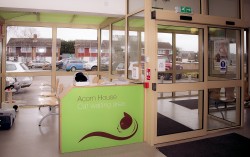 Cat Care Waiting Roon At Acorn House Vets