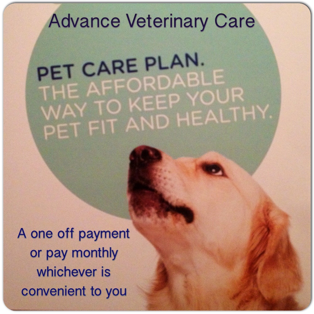 pet care plans
