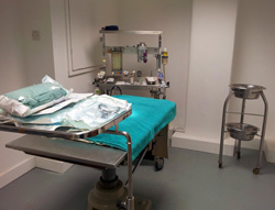 Facilities At Brompton Vet Clinic In Chelsea