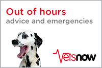 Vets Now Out Of Hours Service