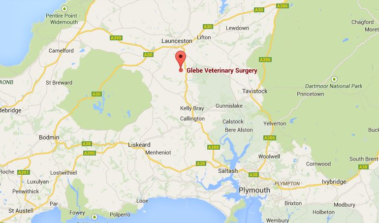 Glebe Veterinary Surgery