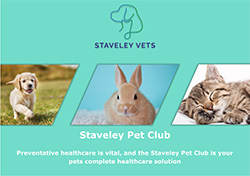 Staveley Pet Club