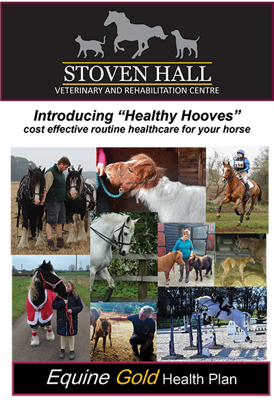 Stoven Hall Equine Health Plan