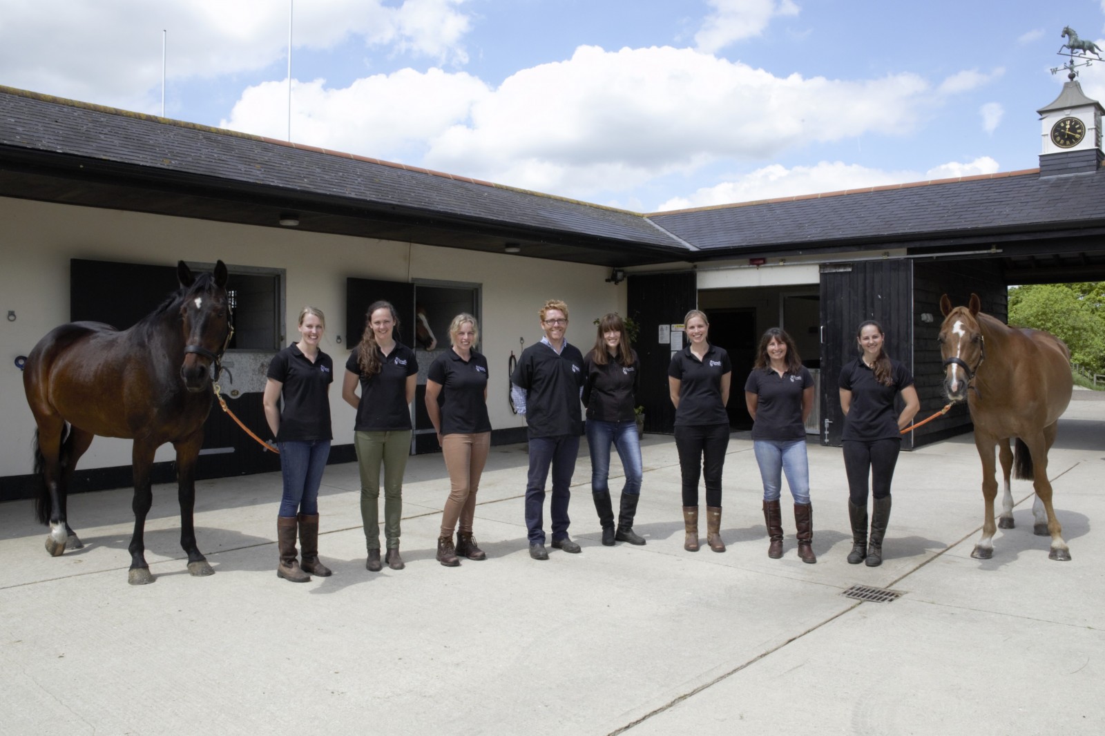Horse vet clinics near 2024 me