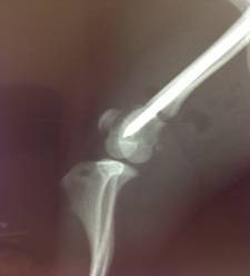 Weardale Vets - Surgery Image